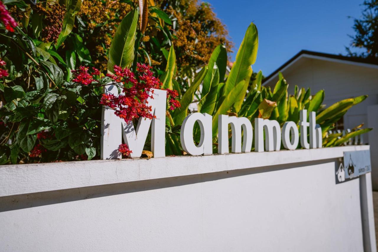 Mammoth Boutique Hotel Chiang Mai Luaran gambar